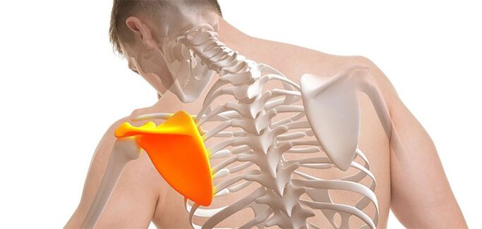Back pain in the area of ​​the scapula. 