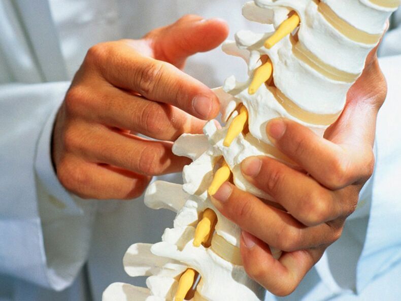 Spinal damage as a cause of low back pain.